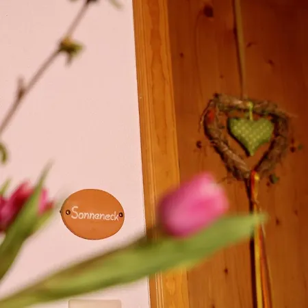 Apartment Berghof Heger *